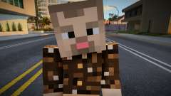 Heck2 Minecraft Ped für GTA San Andreas